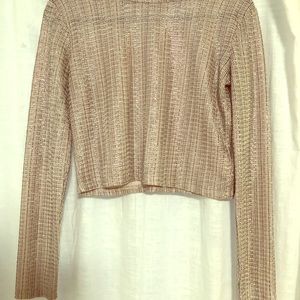 Shimmery long sleeve crop top